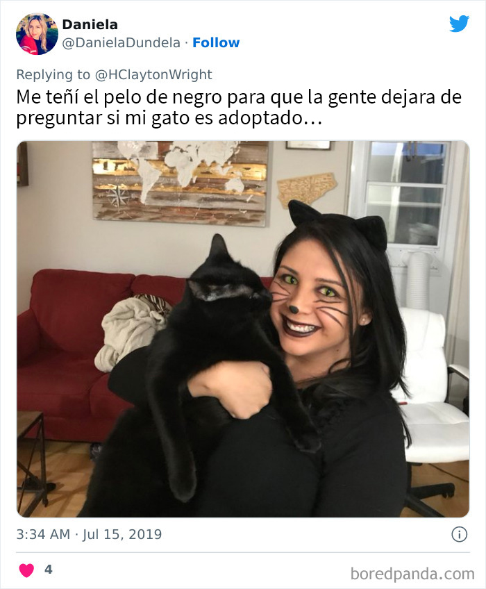 Gatos negros