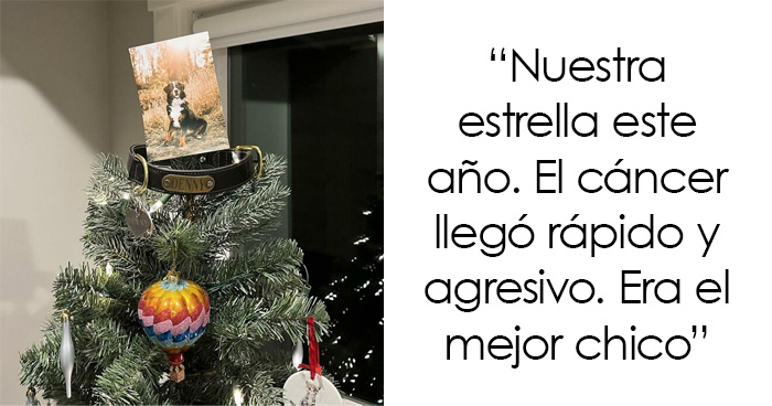 40 Publicaciones navideñas terriblemente conmovedoras