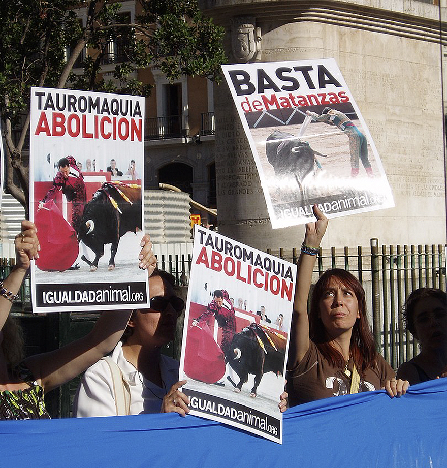 Internautas celebran la suspensión de corridas de toros en la Plaza México