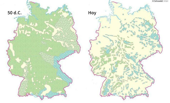 Bosques en Alemania durante el 50 d.C. vs. hoy