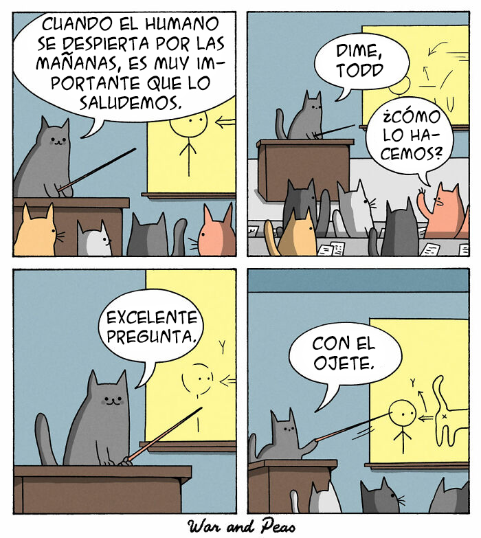 Saludos gatunos