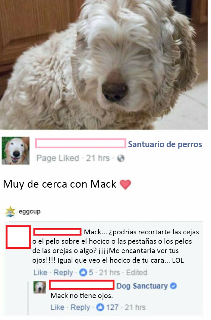 Muy de cerca con Mack