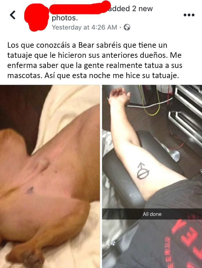 Un chico del instituto se hizo el mismo tatuaje que su perro