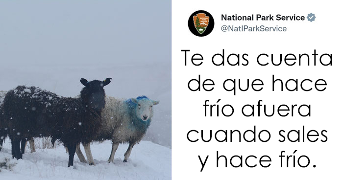 20 Tuits geniales del Servicio de Parques Nacionales que están haciendo reír a todo el mundo