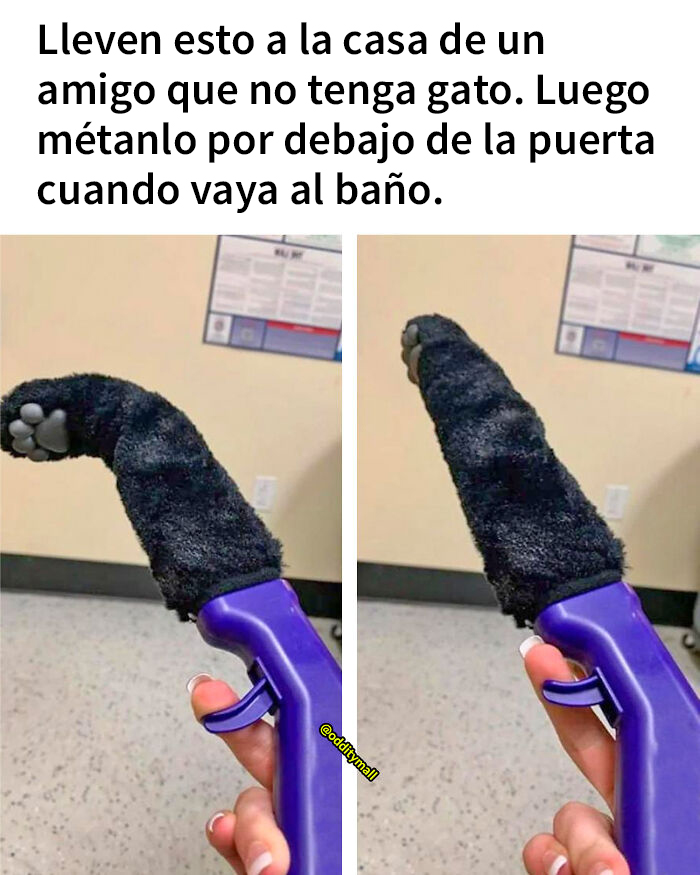  ¡Un genio! 