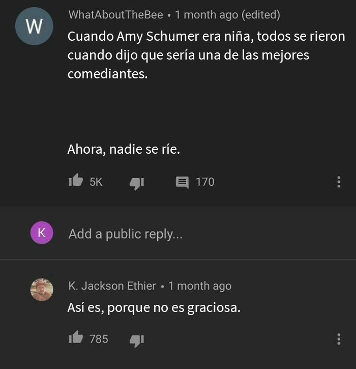 Amy Schumer no es graciosa