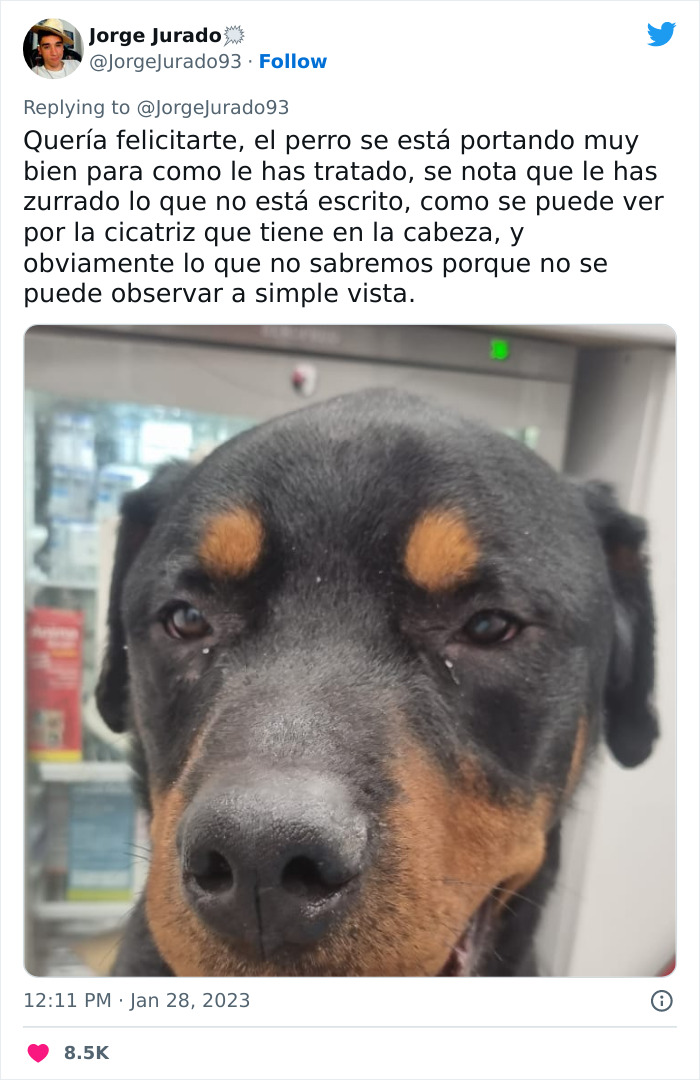 Este actor rescató a un rottweiler maltratado atado a una farola y luego acudió a Twitter a denunciar al anterior dueño