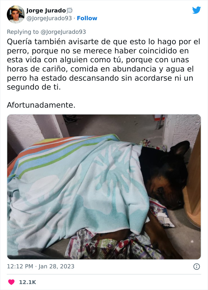 Este actor rescató a un rottweiler maltratado atado a una farola y luego acudió a Twitter a denunciar al anterior dueño