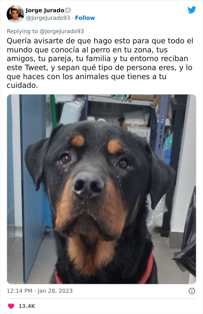 Este actor rescató a un rottweiler maltratado atado a una farola y luego acudió a Twitter a denunciar al anterior dueño