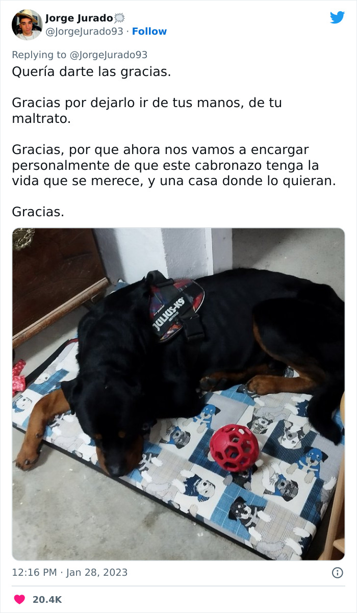 Este actor rescató a un rottweiler maltratado atado a una farola y luego acudió a Twitter a denunciar al anterior dueño