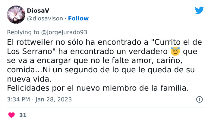 Este actor rescató a un rottweiler maltratado atado a una farola y luego acudió a Twitter a denunciar al anterior dueño