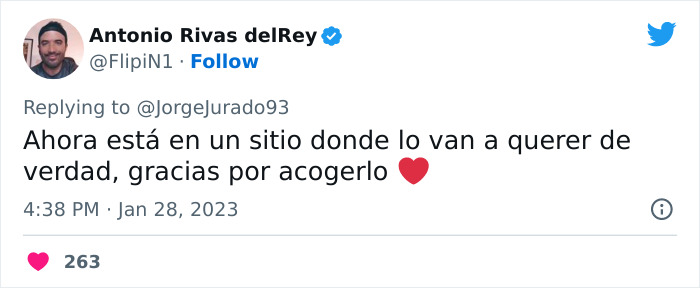 Este actor rescató a un rottweiler maltratado atado a una farola y luego acudió a Twitter a denunciar al anterior dueño