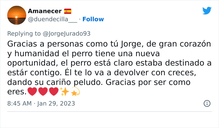 Este actor rescató a un rottweiler maltratado atado a una farola y luego acudió a Twitter a denunciar al anterior dueño