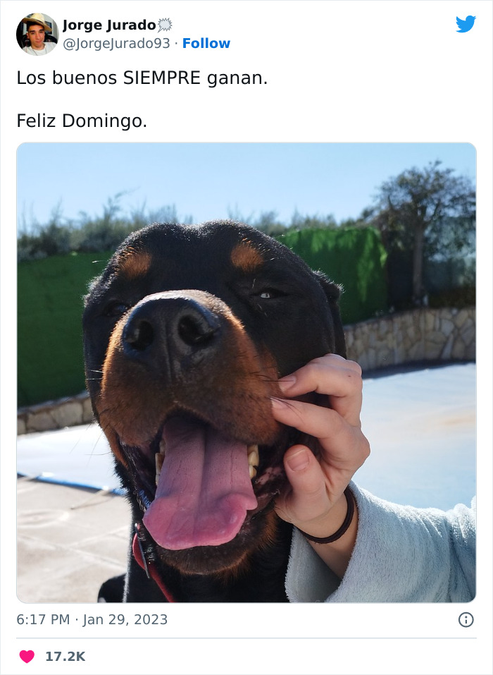 Este actor rescató a un rottweiler maltratado atado a una farola y luego acudió a Twitter a denunciar al anterior dueño