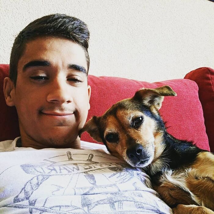 Este actor rescató a un rottweiler maltratado atado a una farola y luego acudió a Twitter a denunciar al anterior dueño