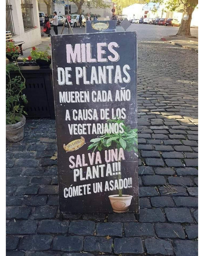 Salvemos A Las Plantas