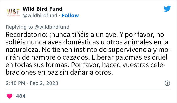 Esta paloma fue teñida de rosa para una fiesta de revelación de género, y ahora sus rescatadores intentan salvarla