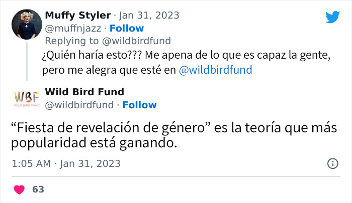 Esta paloma fue teñida de rosa para una fiesta de revelación de género, y ahora sus rescatadores intentan salvarla