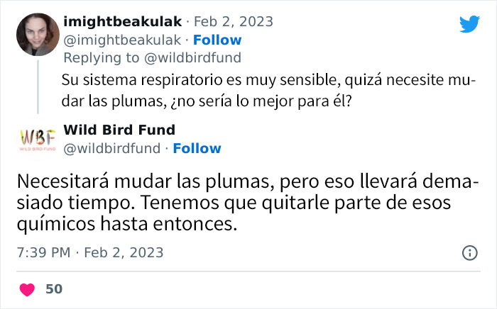 Esta paloma fue teñida de rosa para una fiesta de revelación de género, y ahora sus rescatadores intentan salvarla