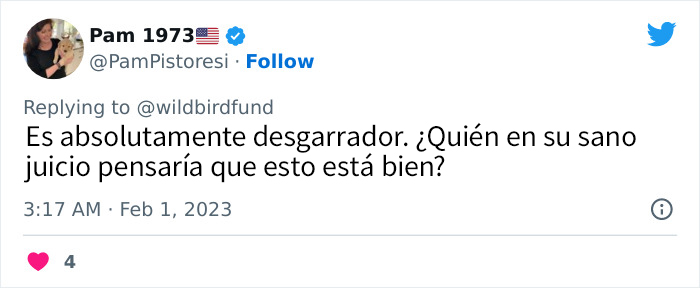 Esta paloma fue teñida de rosa para una fiesta de revelación de género, y ahora sus rescatadores intentan salvarla