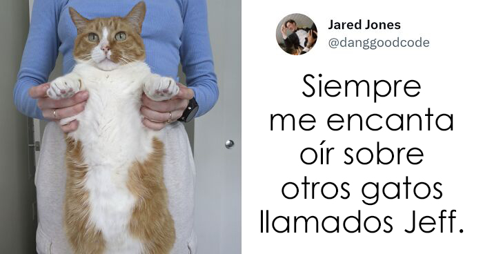 20 Divertidos nombres que la gente puso a sus gatos y que hacen reír a los veterinarios