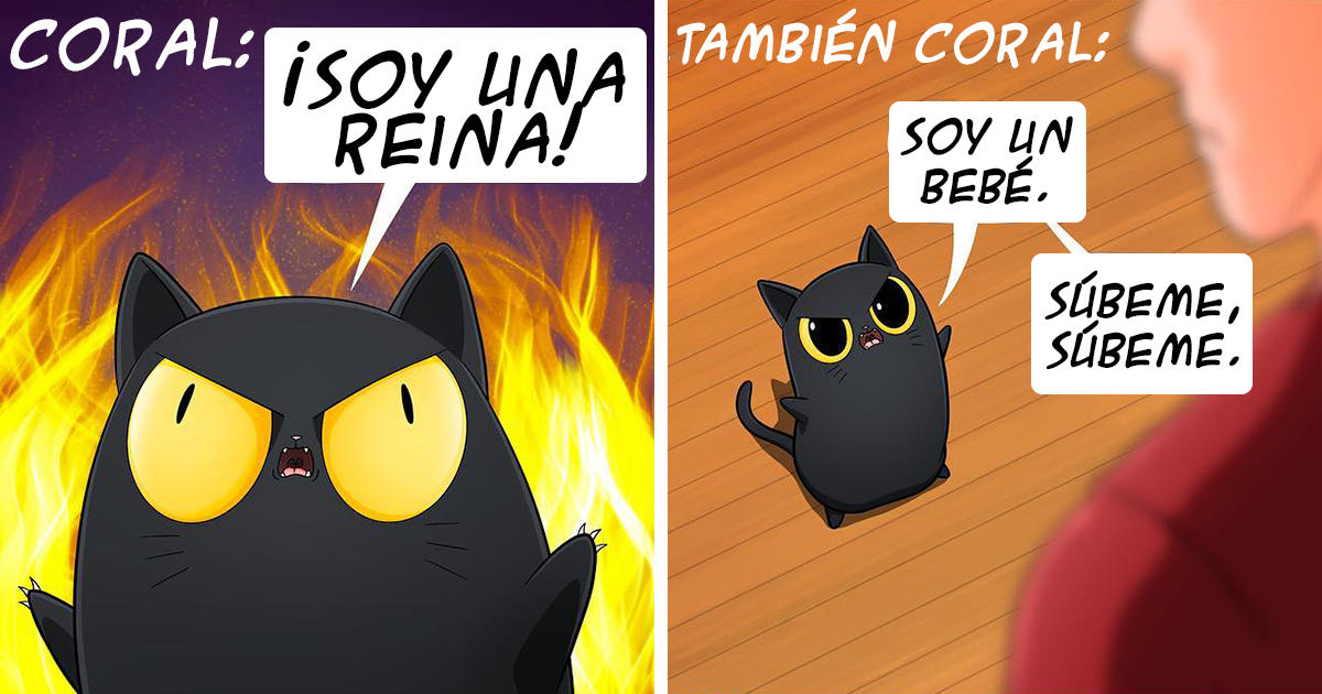 15 Divertidos cómics que ilustran la realidad de vivir con un gato