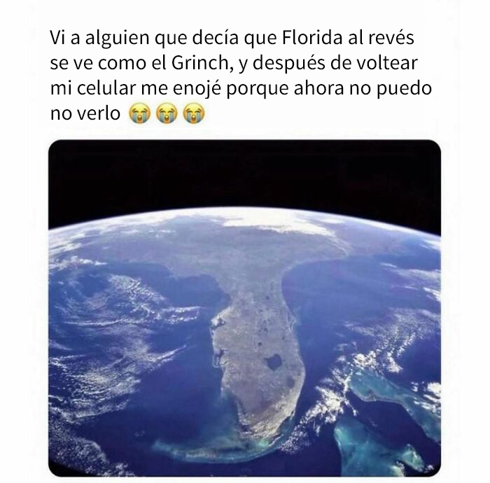 40 Posts Roasting The Hell Out Of Florida, As Shared On The "Florida Man" Instagram Page