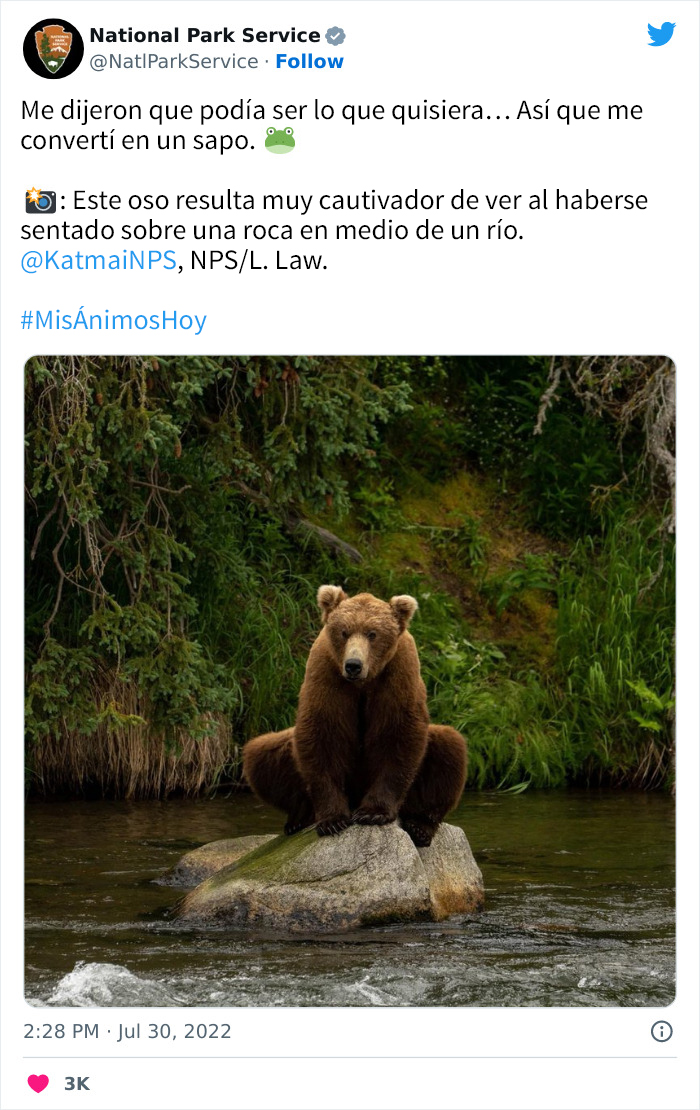 National Park Service Hired The Perfect Social Media Person As Their Tweets Are Hilarious So Here Are 34 Of The Best Ones