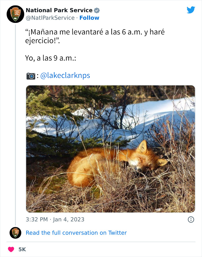 National Park Service Hired The Perfect Social Media Person As Their Tweets Are Hilarious So Here Are 34 Of The Best Ones