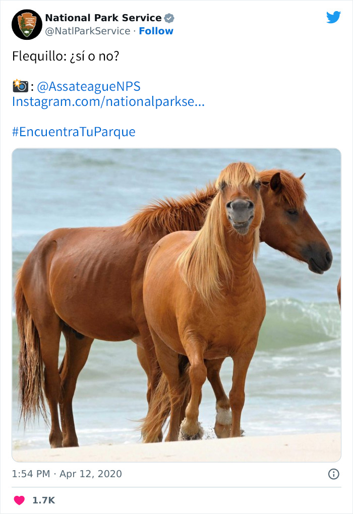 National Park Service Hired The Perfect Social Media Person As Their Tweets Are Hilarious So Here Are 34 Of The Best Ones