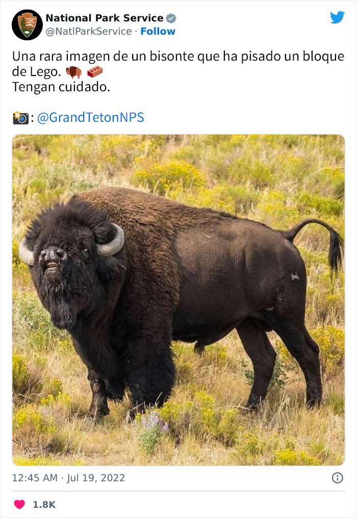 National Park Service Hired The Perfect Social Media Person As Their Tweets Are Hilarious So Here Are 34 Of The Best Ones