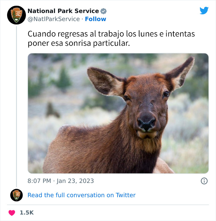 National Park Service Hired The Perfect Social Media Person As Their Tweets Are Hilarious So Here Are 34 Of The Best Ones