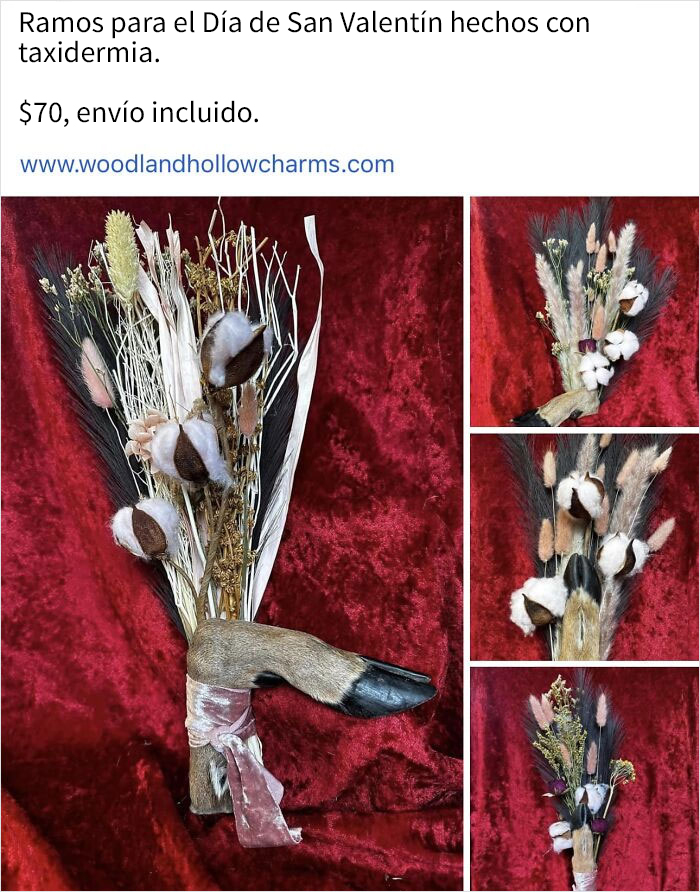 ¿Taxidermia de casa de campo moderna?