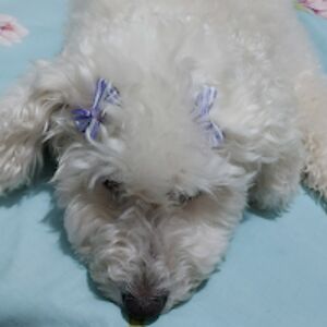 silviacruz avatar
