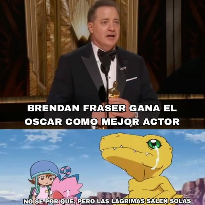Memes Reacciones Brendan Fraser