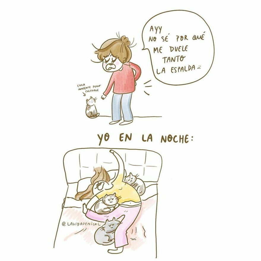 La Vida De Nicol