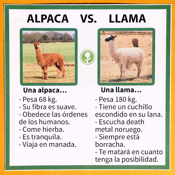 Alpaca versus Llama