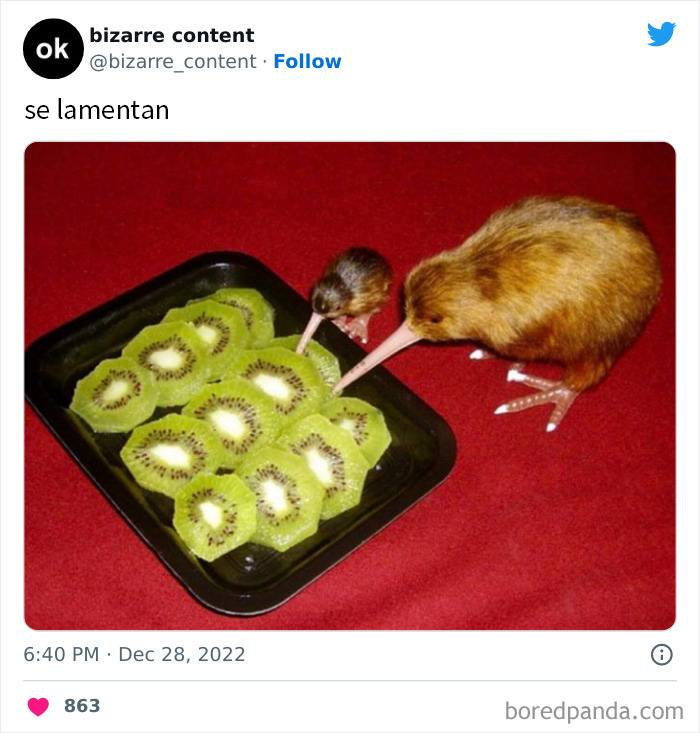 50 Unexplainable Posts From The “Bizarre Content” Twitter Page That Are Guaranteed To Baffle You