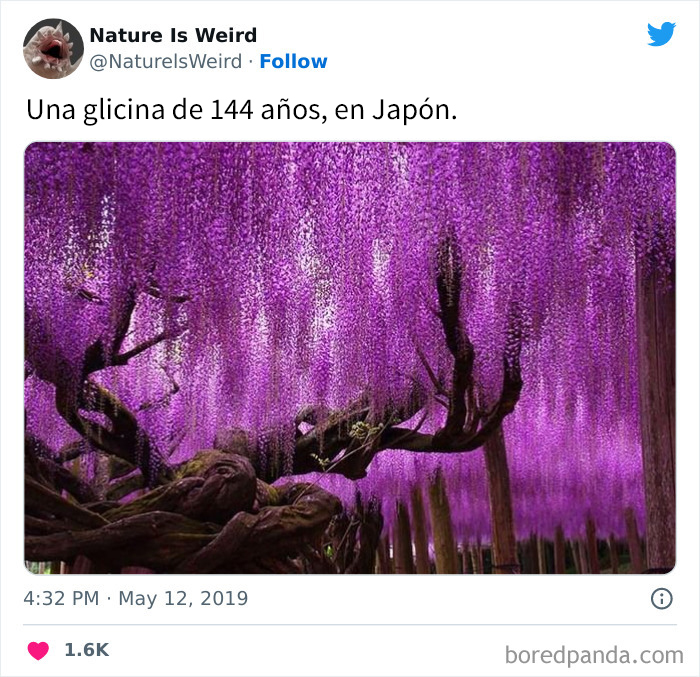 “Nature Is Weird”: 50 Interesting Pics And Facts About Mother Nature Shared By This Account