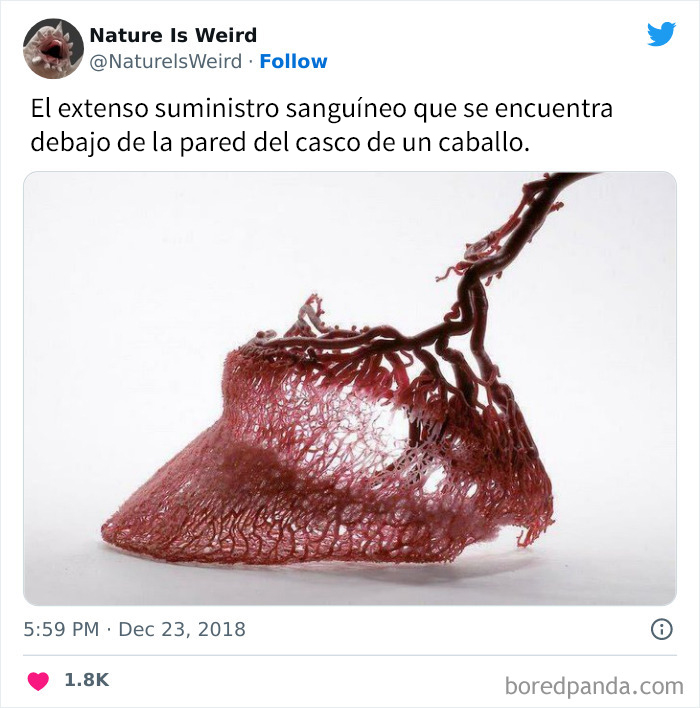 “Nature Is Weird”: 50 Interesting Pics And Facts About Mother Nature Shared By This Account