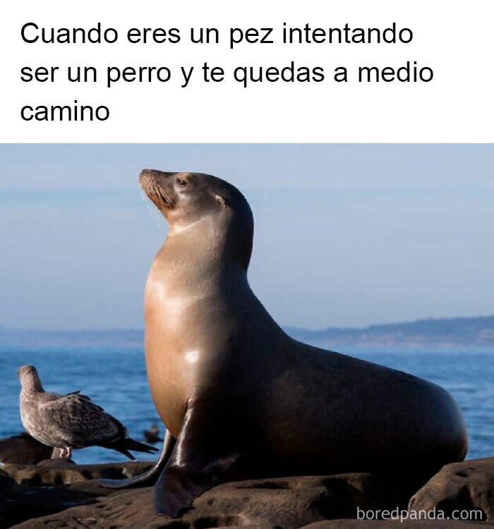 Cosas de la evolución