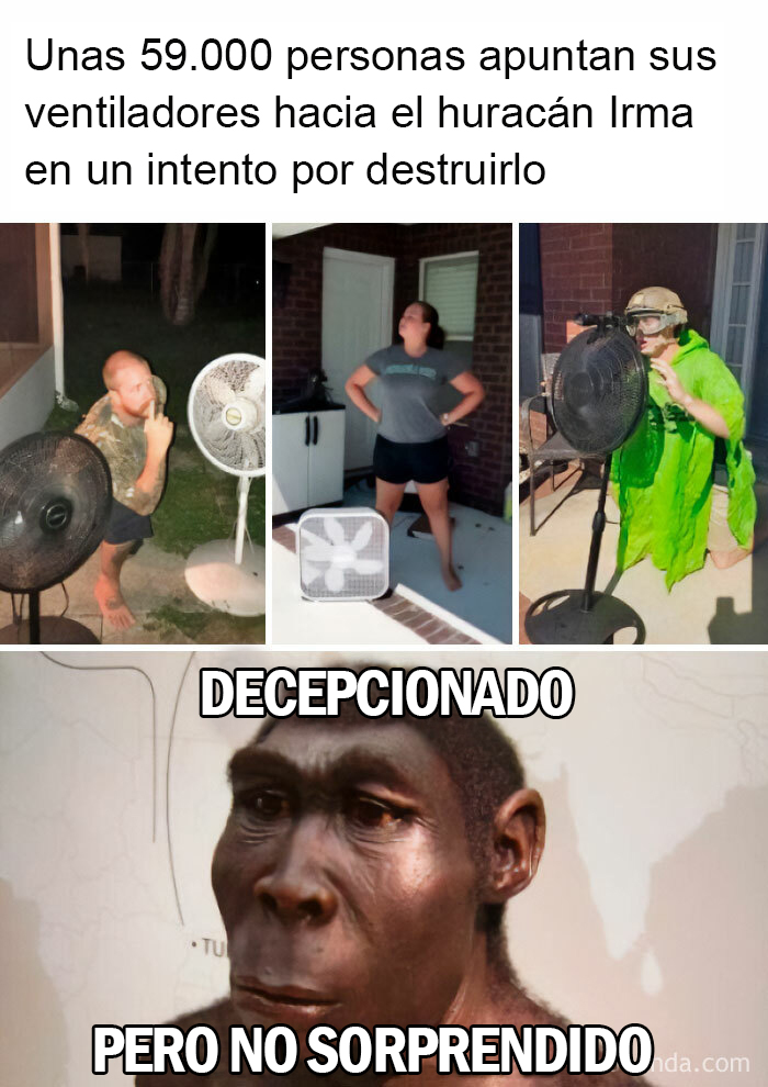 La evolución es una mentira