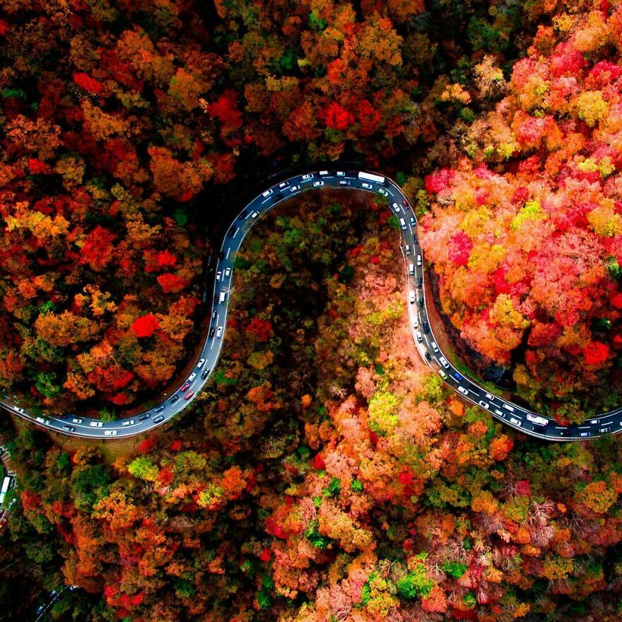 La Colorida Naturaleza De Japón Desde El Aire: 30 Fotos Con Dron