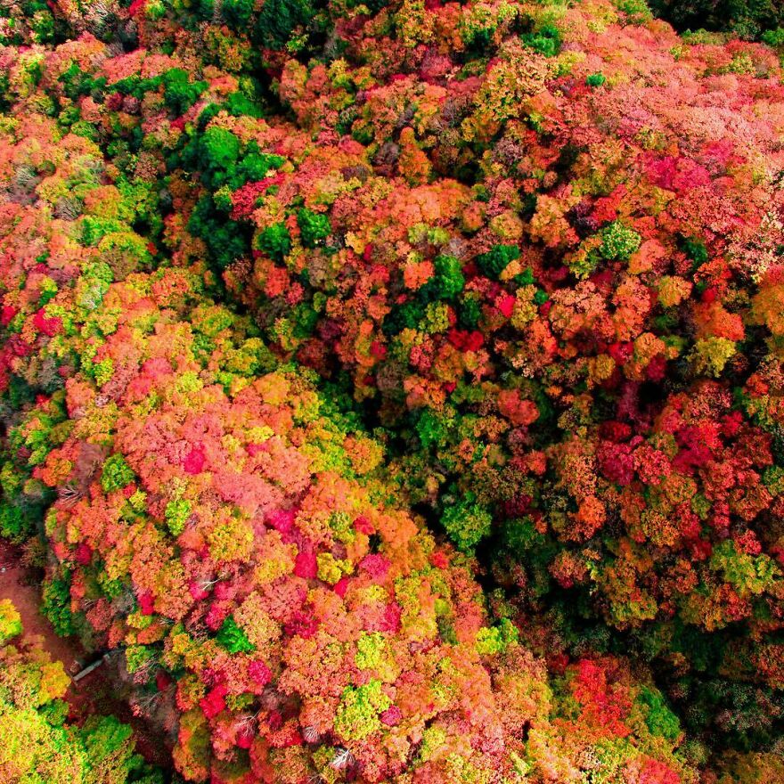 La Colorida Naturaleza De Japón Desde El Aire: 30 Fotos Con Dron