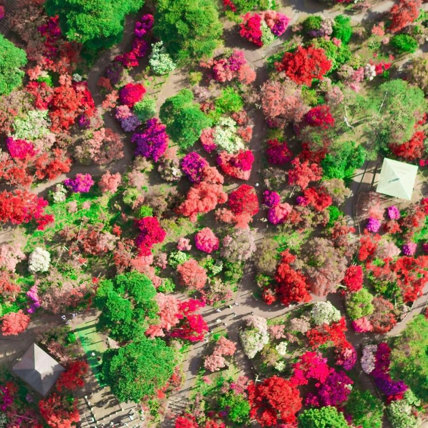 La Colorida Naturaleza De Japón Desde El Aire: 30 Fotos Con Dron