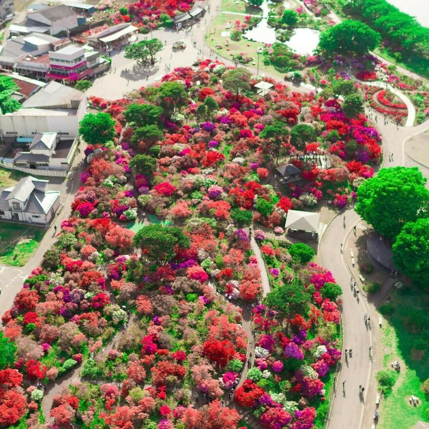 La Colorida Naturaleza De Japón Desde El Aire: 30 Fotos Con Dron