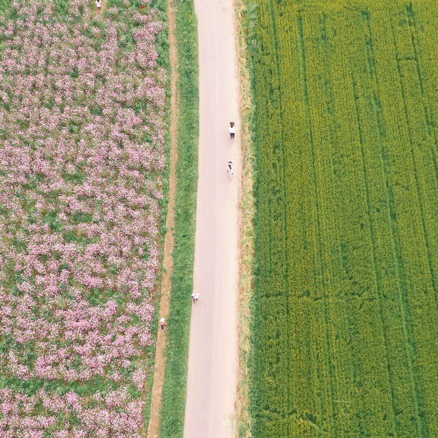 La Colorida Naturaleza De Japón Desde El Aire: 30 Fotos Con Dron