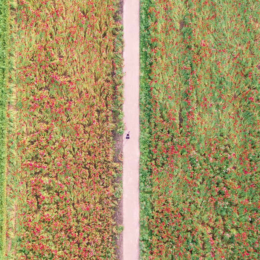 La Colorida Naturaleza De Japón Desde El Aire: 30 Fotos Con Dron