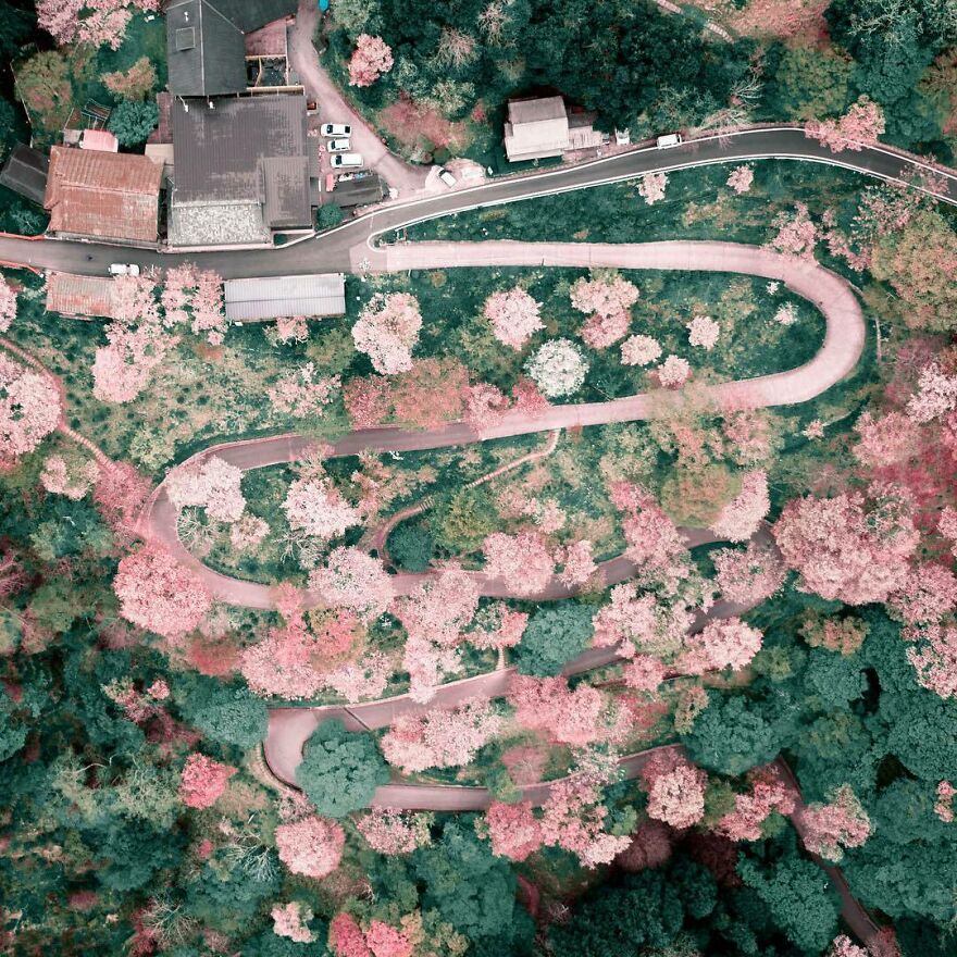 La Colorida Naturaleza De Japón Desde El Aire: 30 Fotos Con Dron