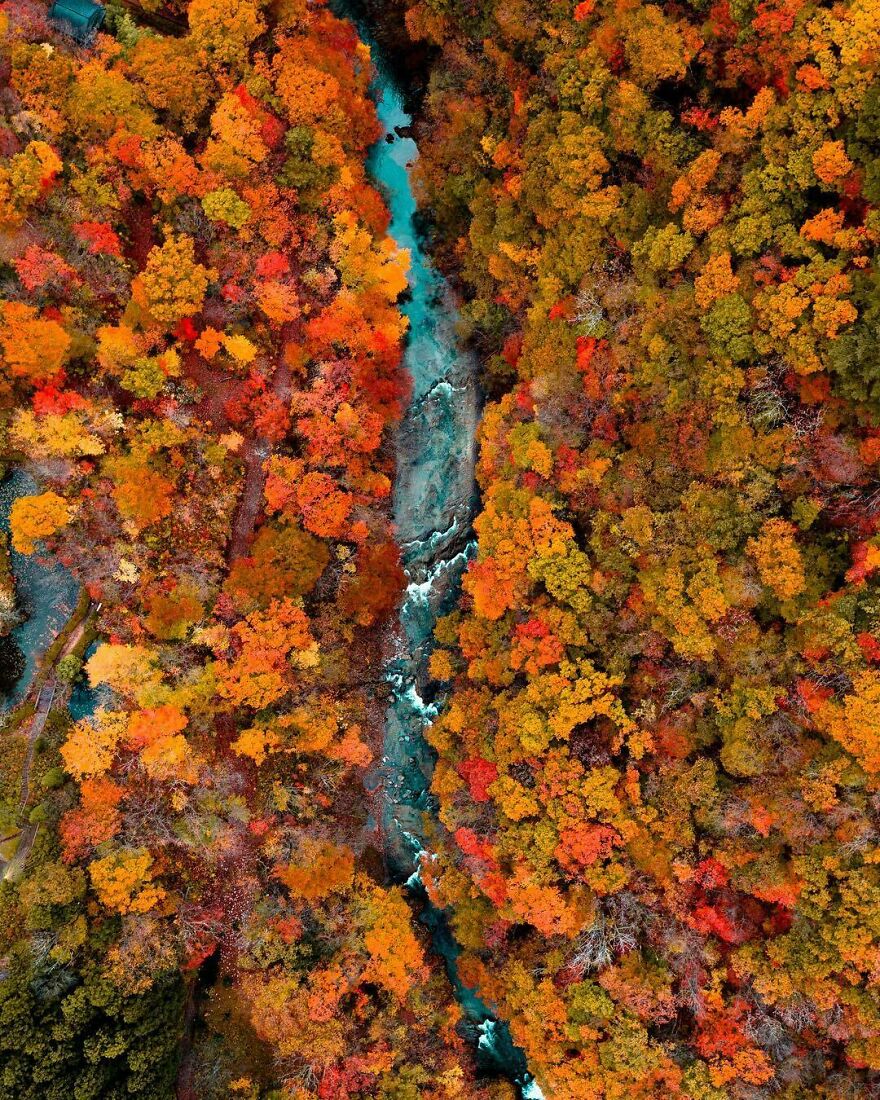 La Colorida Naturaleza De Japón Desde El Aire: 30 Fotos Con Dron